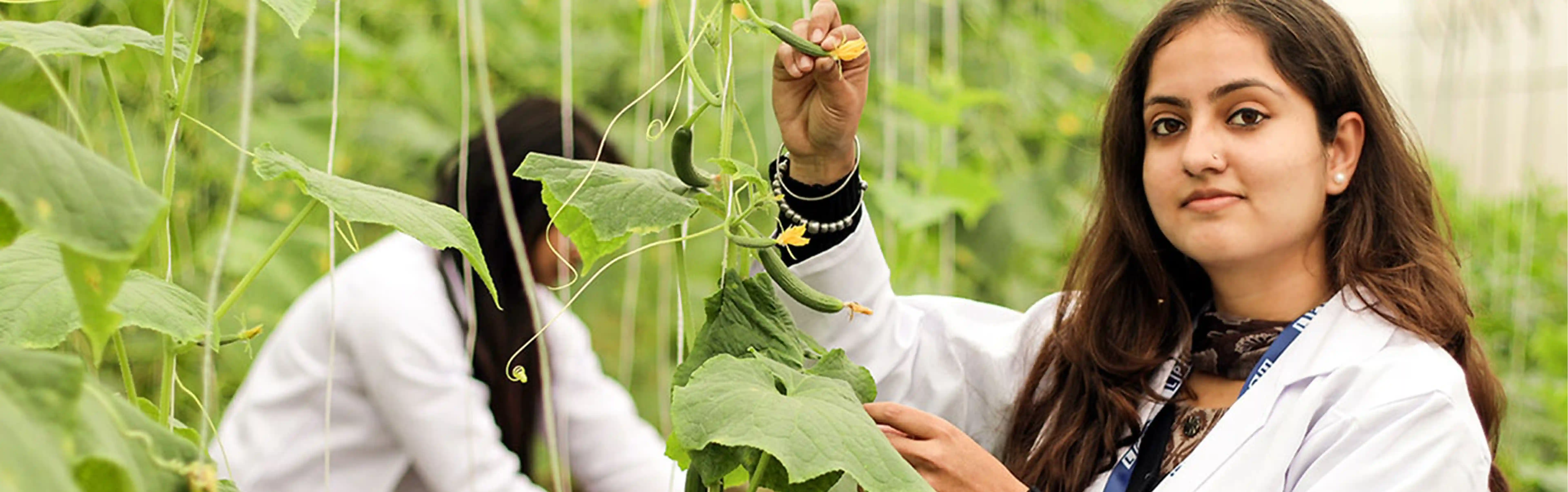 Agriculture