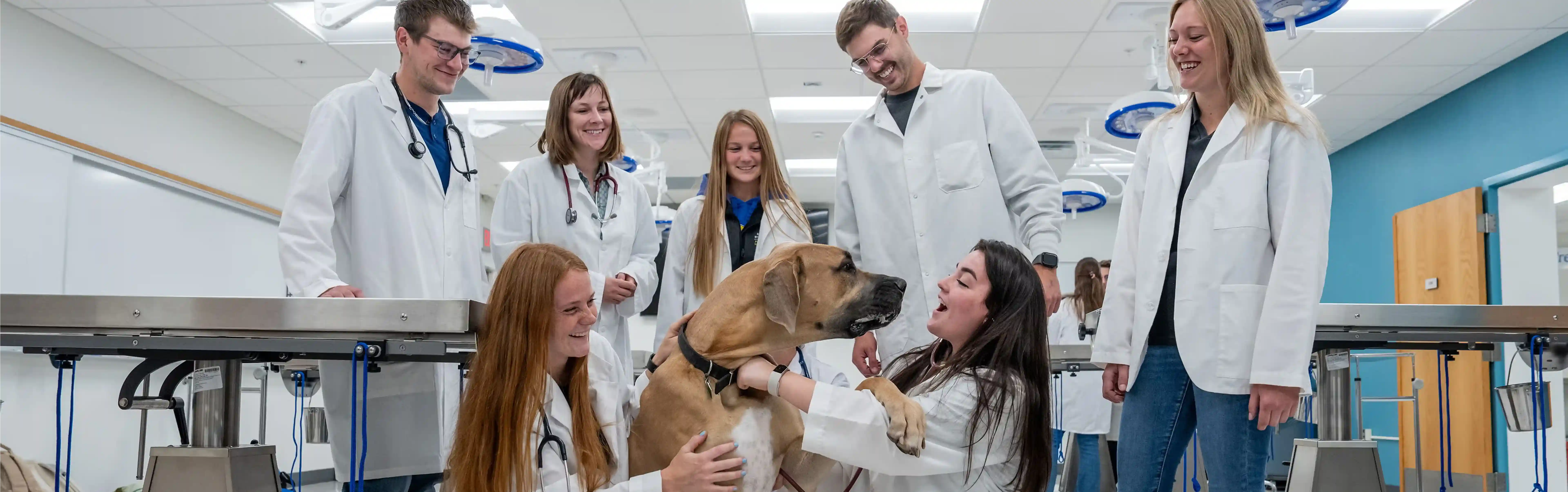 Veterinary Science